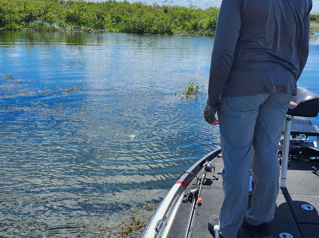 Okeechobee Bass Guide Service-奥基乔比必去景点
