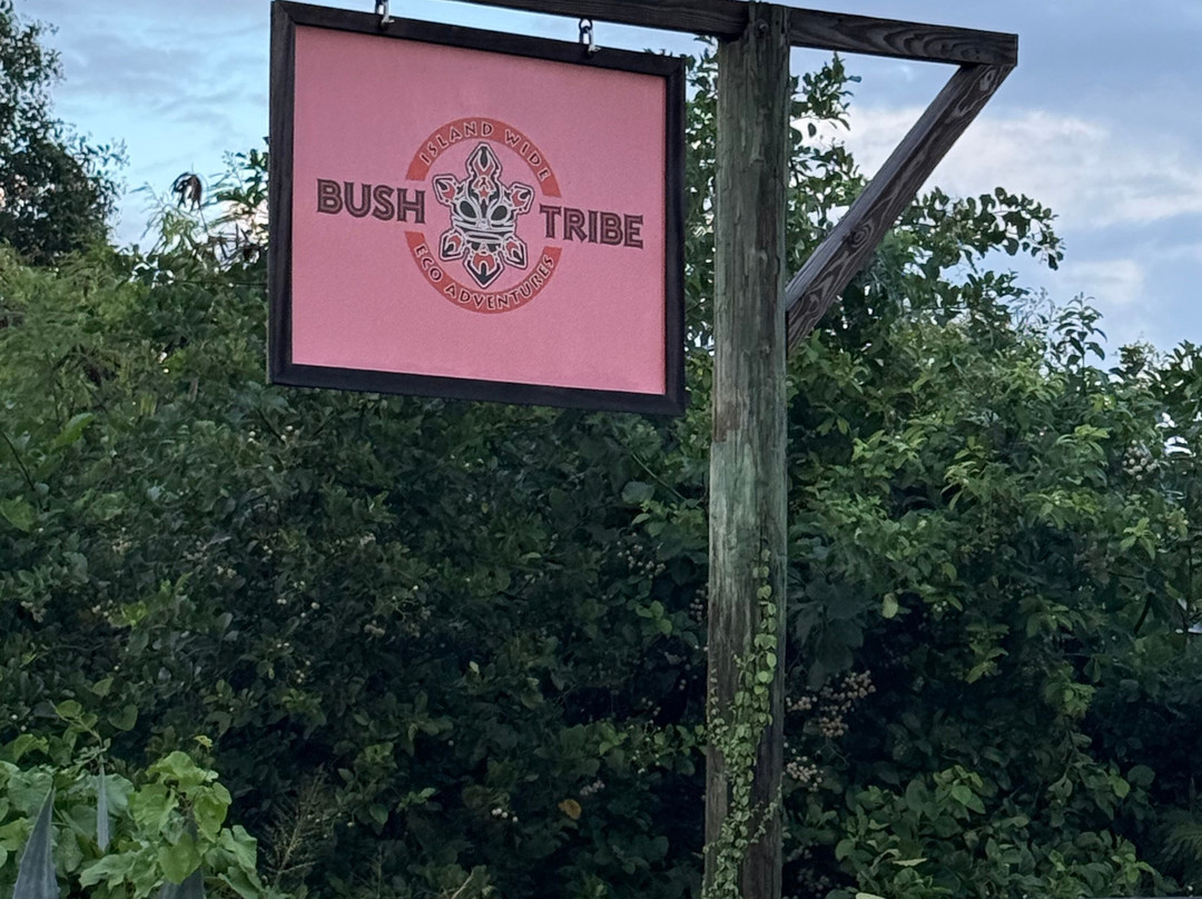 BushTribe Eco Adventures-Christiansted必去景点