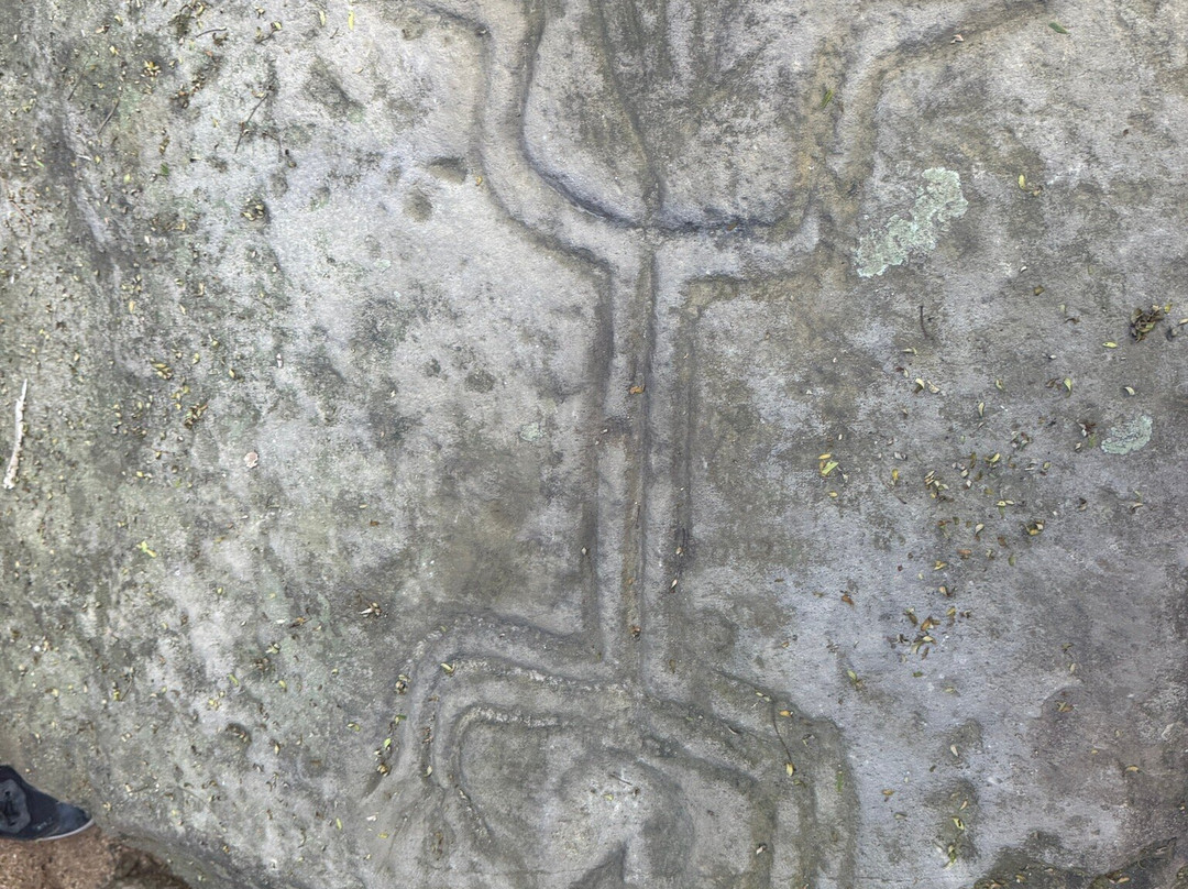 Mystic Embrace-Chacala必去景点