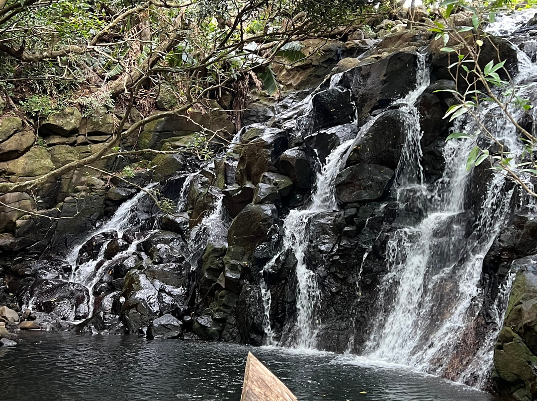 Antonio Taxi Mauritius-Palmar必去景点