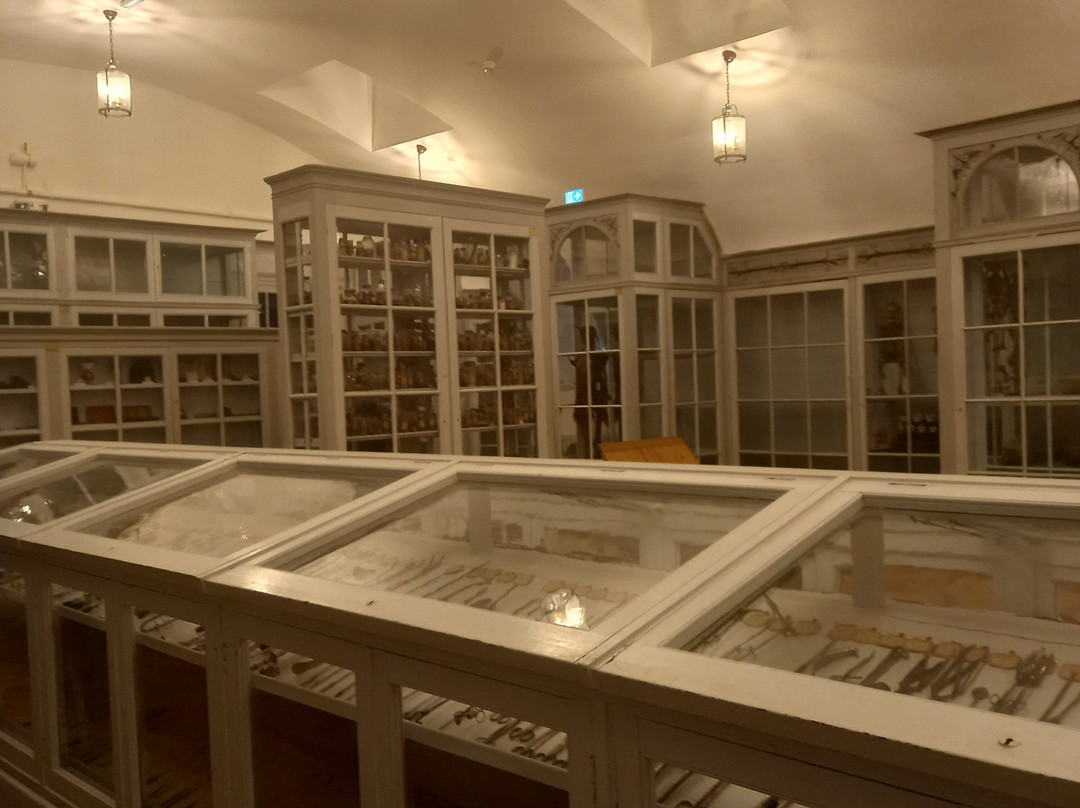 Musée de l'Ancienne École de Médecine Navale-罗什福尔必去景点