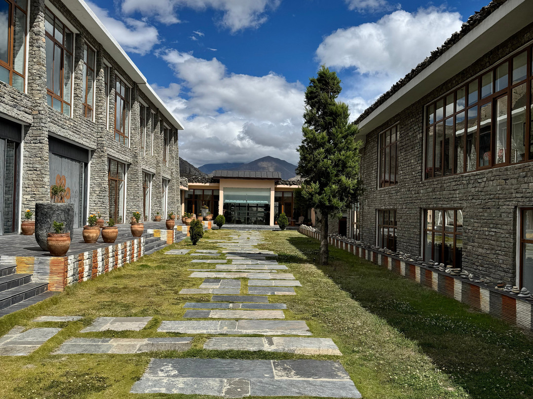 Shinta Mani Mustang主图