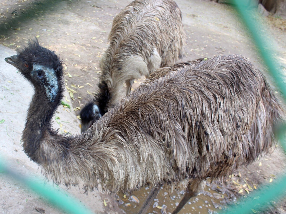 Gandhi Prani Udhyan-瓜廖尔必去景点