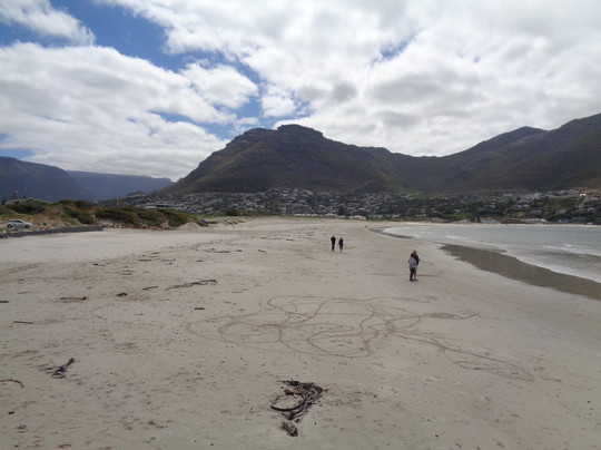 Hout Bay Beach-木湾必去景点