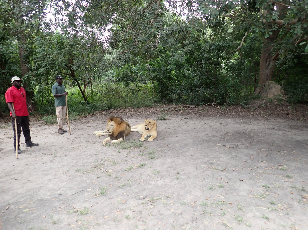 Gambia View Tours-班竹必去景点