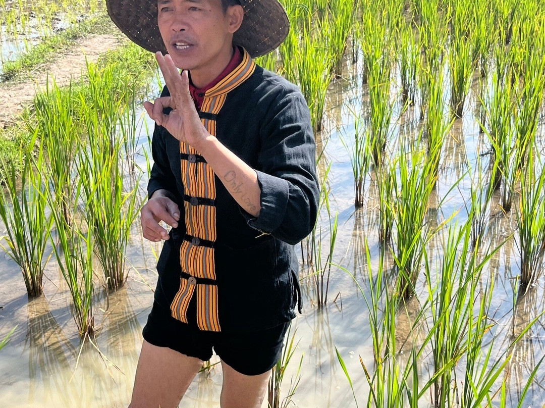 Living Land农场体验之旅-琅勃拉邦必去景点