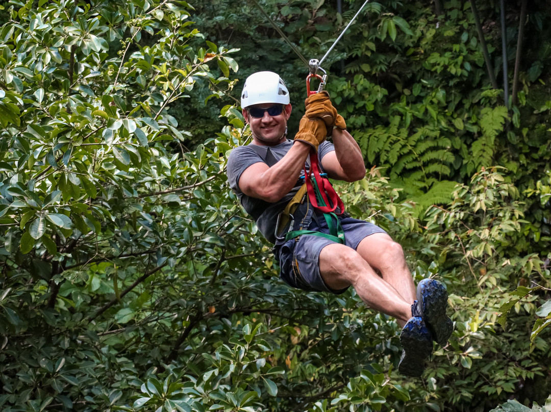 Dees Costa Rica Tours-Playa Flamingo必去景点