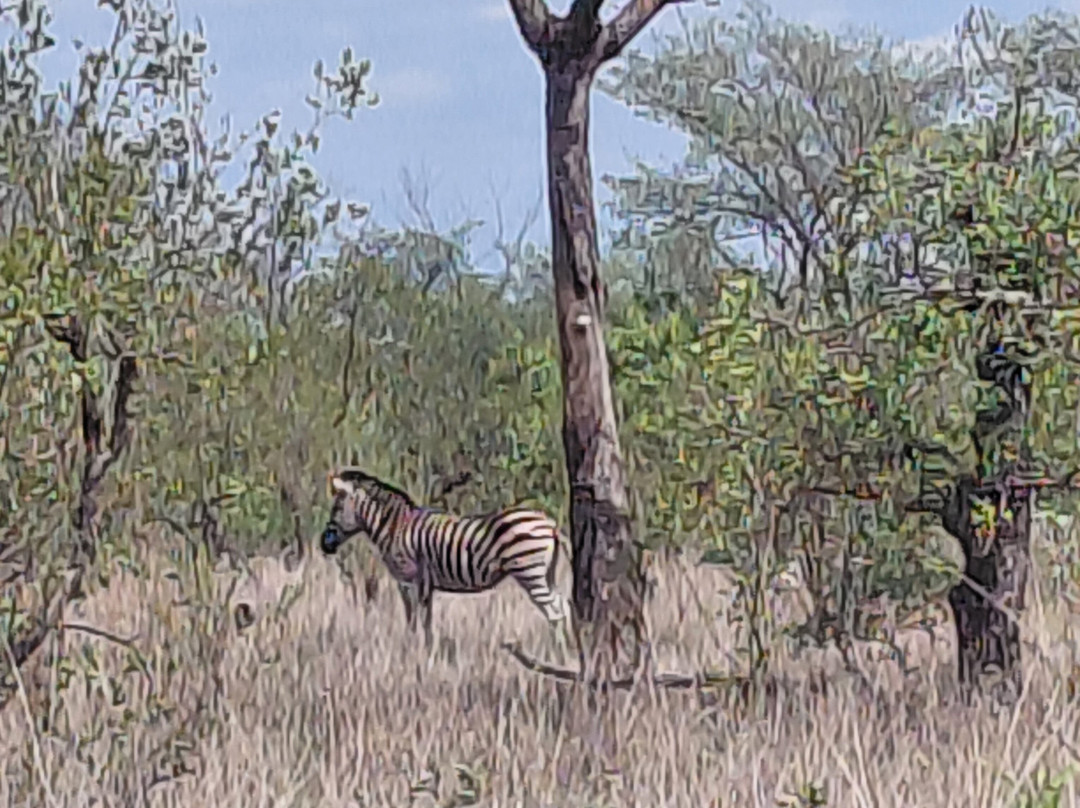 Kamaroutes travel Designers-Johannesburg South必去景点