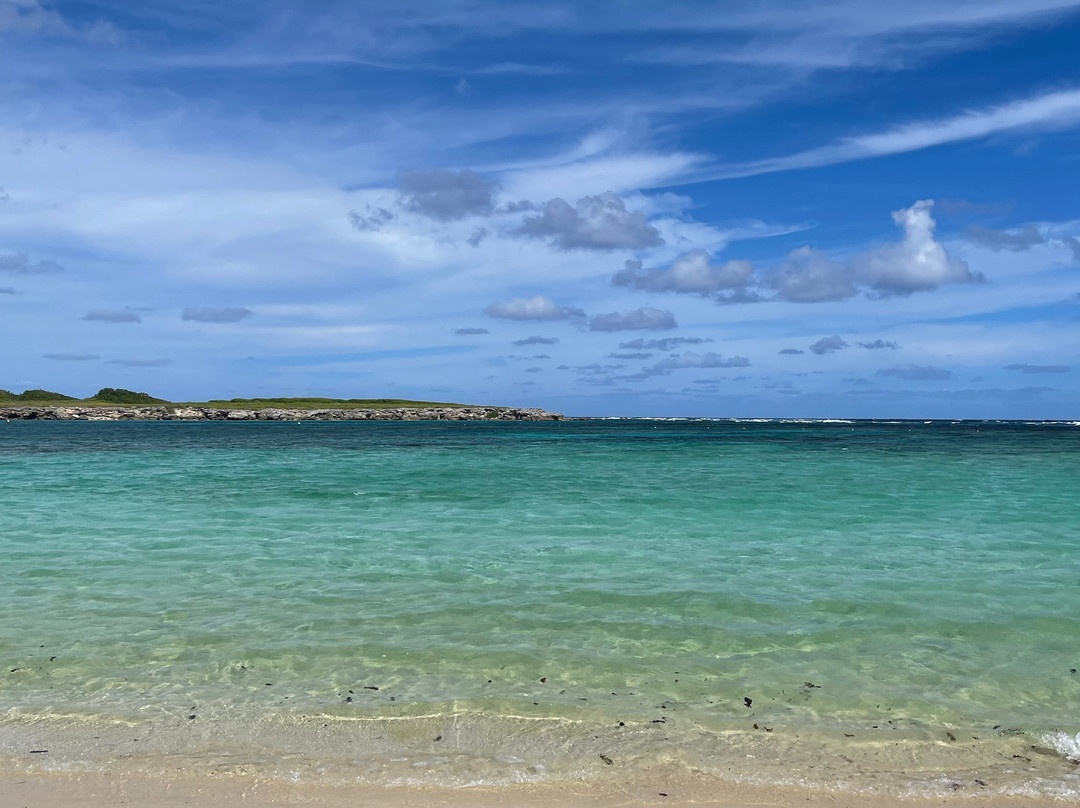 Tarzan Excursion Guadeloupe-Sainte-Anne必去景点