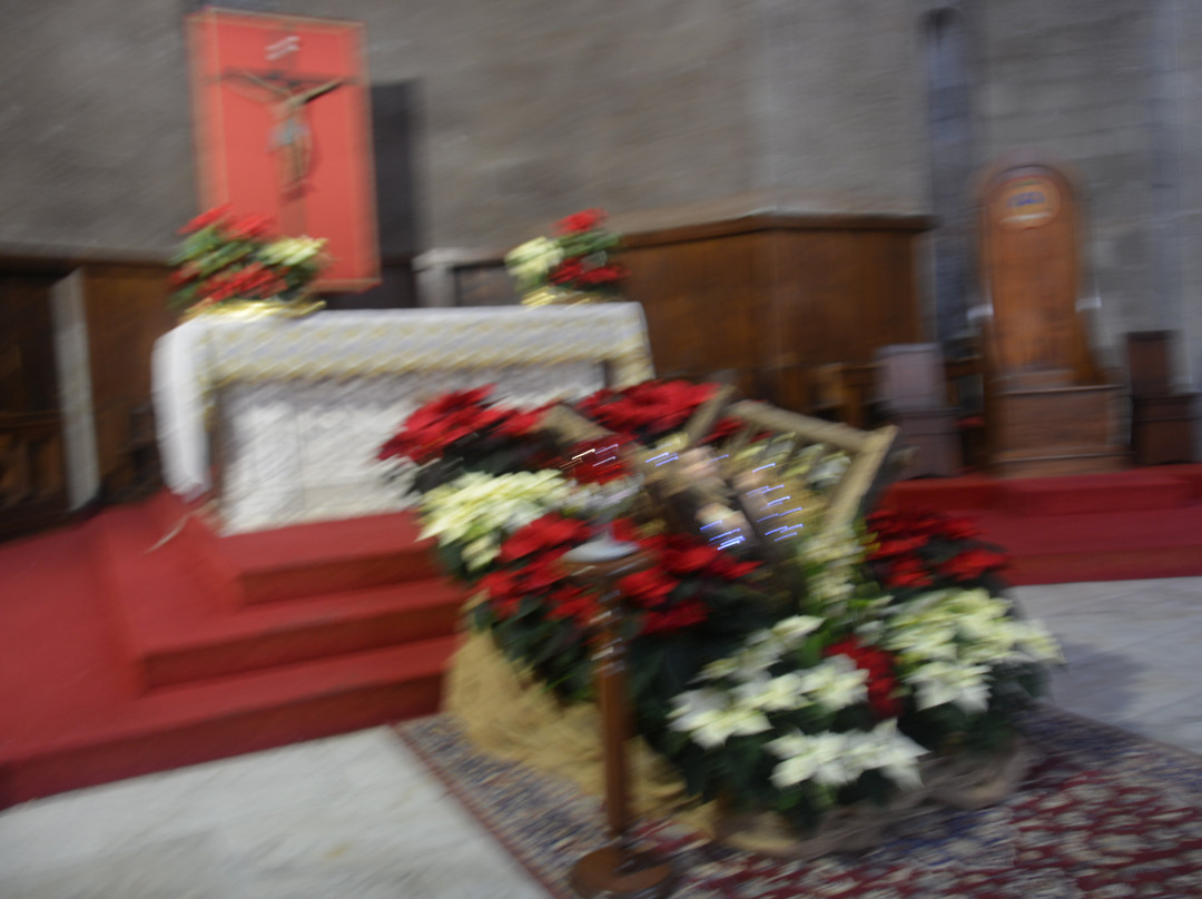 Cattedrale di San Lorenzo-维泰博必去景点