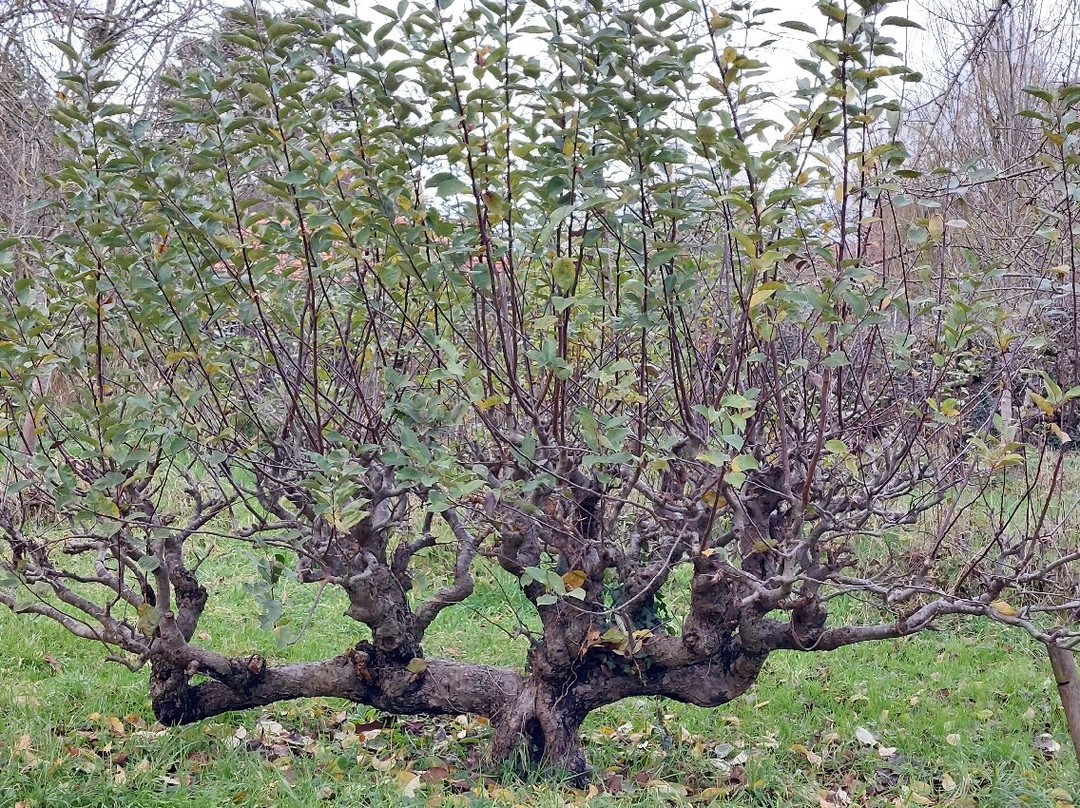 Voie Verte des Viennes-Sainte-Savine必去景点