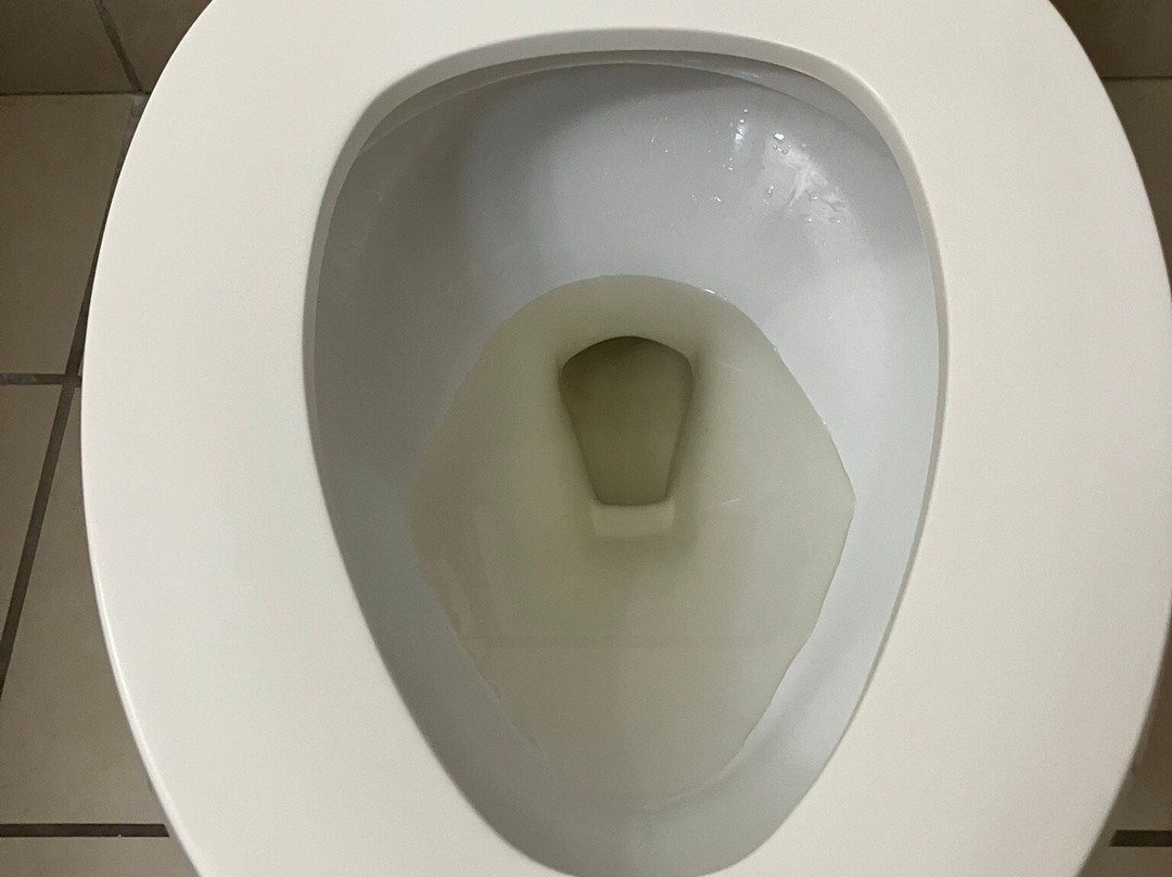 西门罗希尔顿花园酒店主图