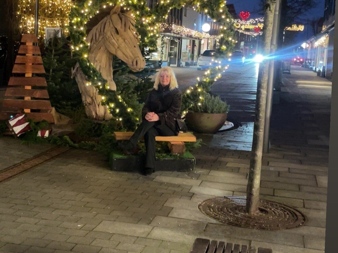 科罗曼酒店主图