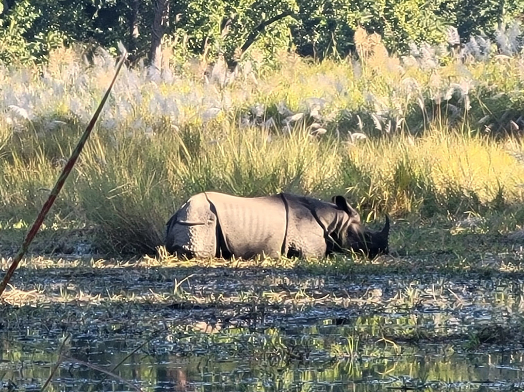 United Jungle Guide Service-奇旺国家公国必去景点