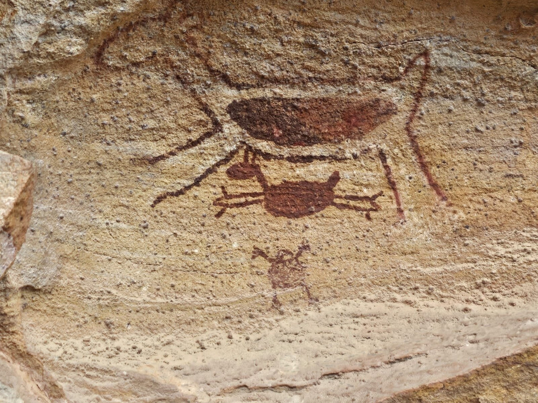 Receptivo Selva Branca