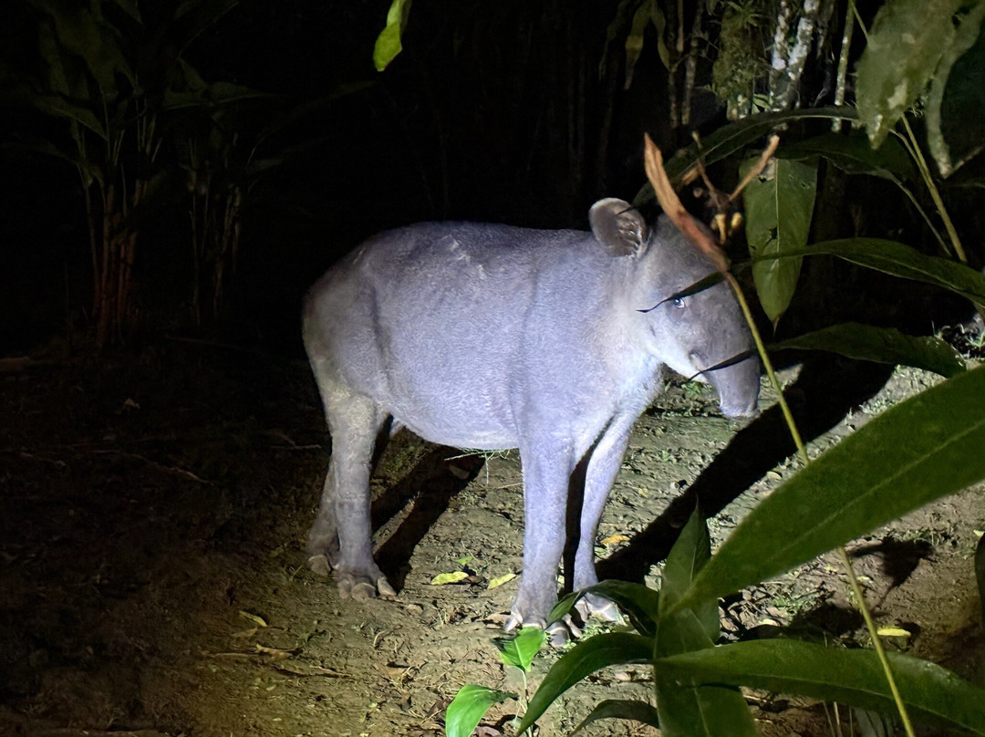 Costa Rica Focus-圣何塞必去景点