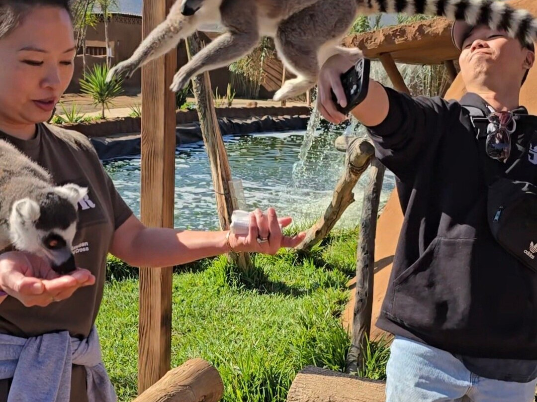 Pai Pai Ecotourism Park-恩塞纳达必去景点