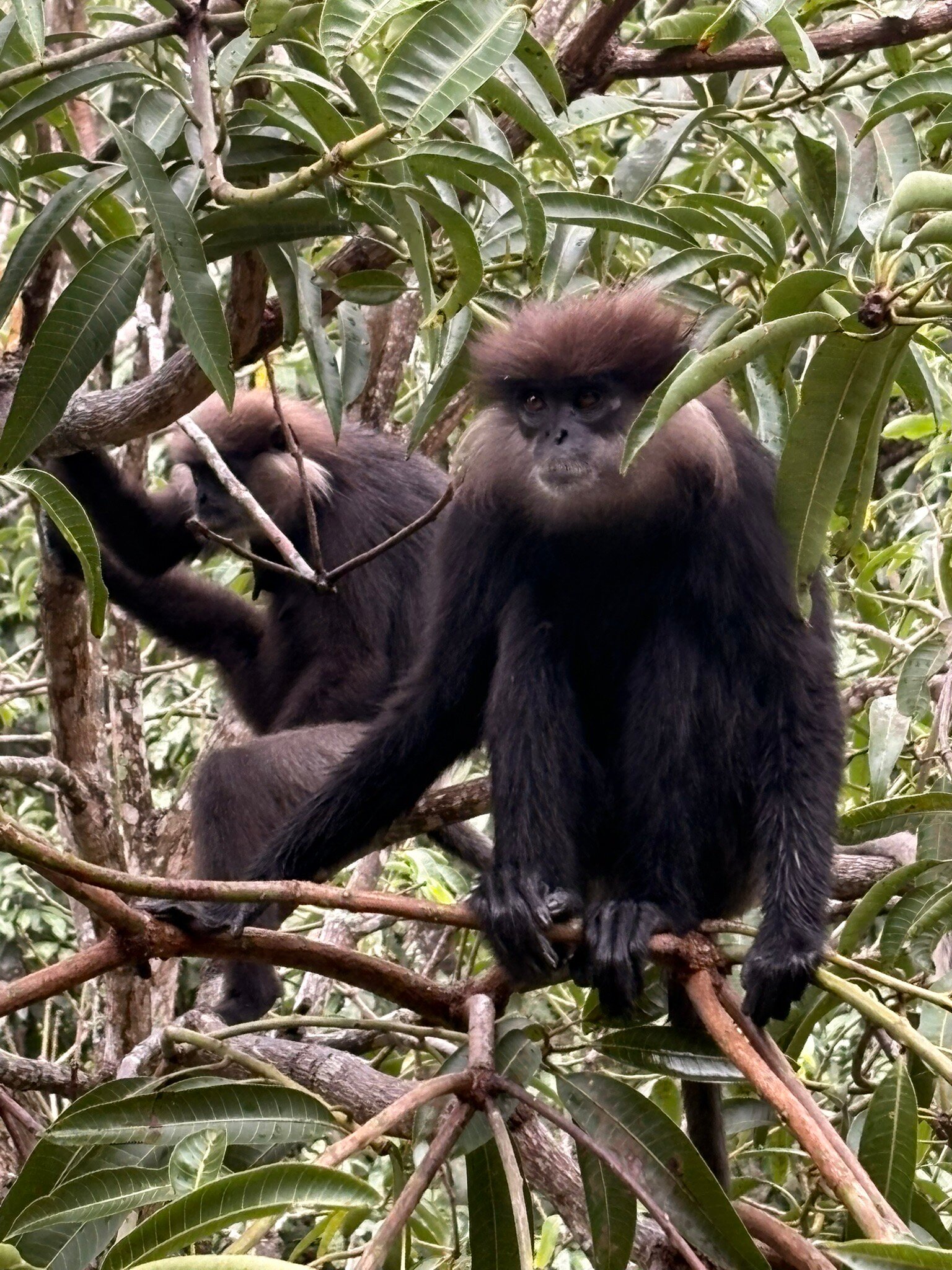 塔巴派尼度假酒店-官方