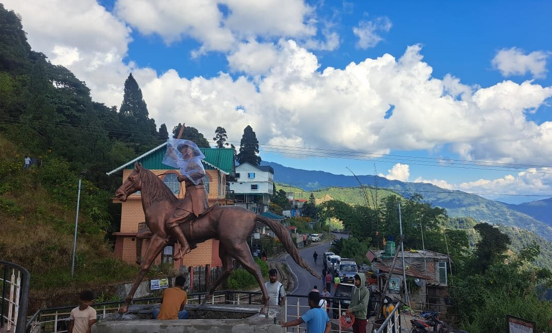 The Emili Schenkl House