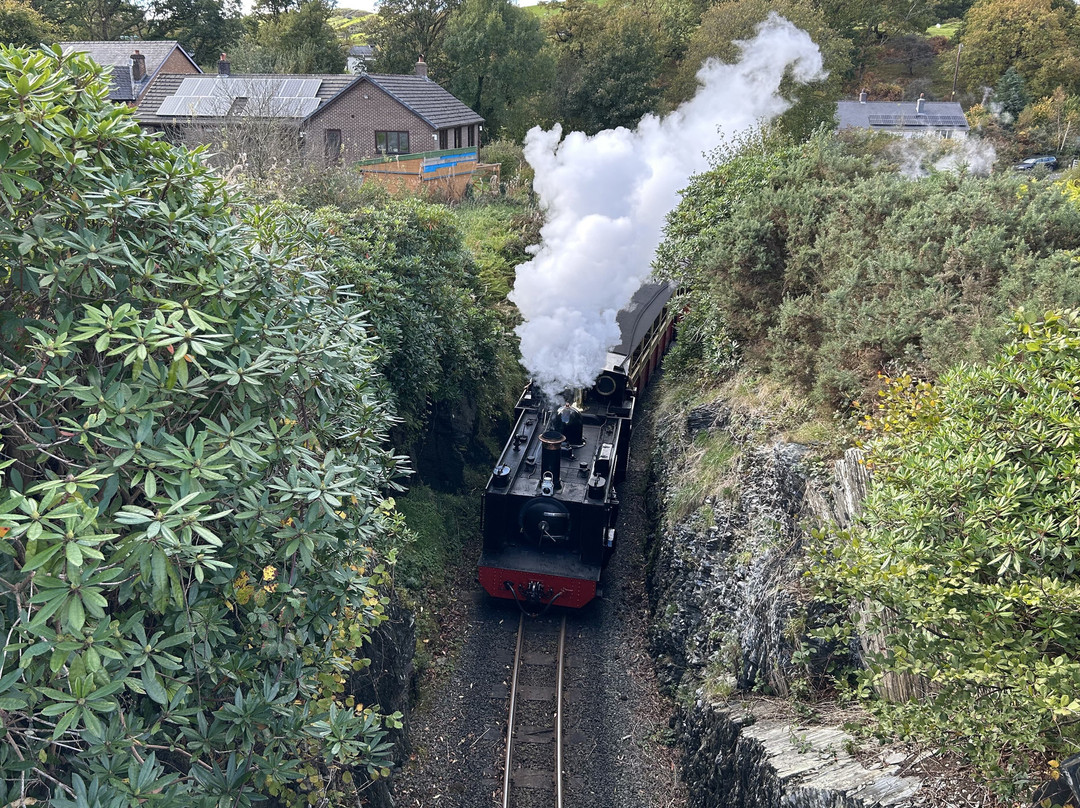 Vale of Rheidol Railway-阿伯里斯特威斯必去景点