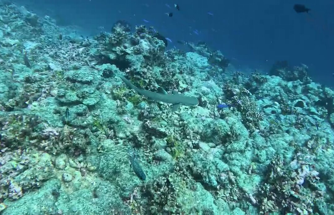 The Six Passengers-阿瓦托鲁必去景点