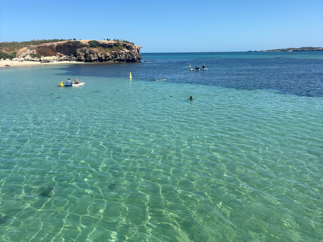Perth Wildlife Encounters-罗金厄姆必去景点