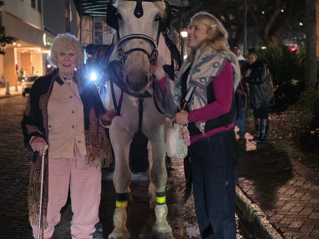 Savannah Carriage Tours-萨凡纳必去景点