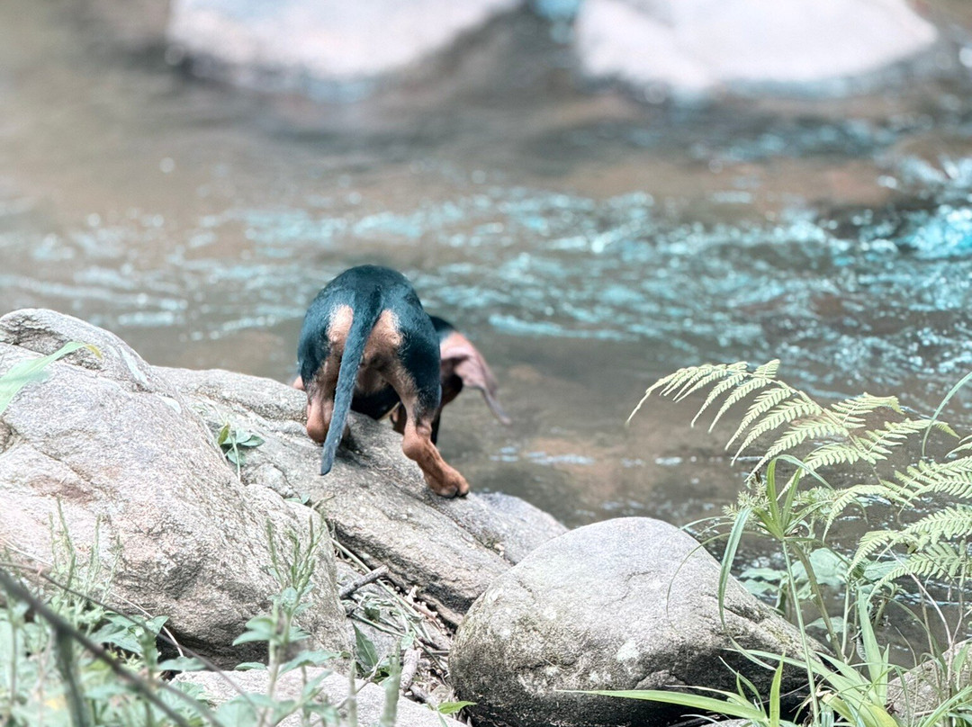 Cachoeira Do Pocao-Miguel Pereira必去景点