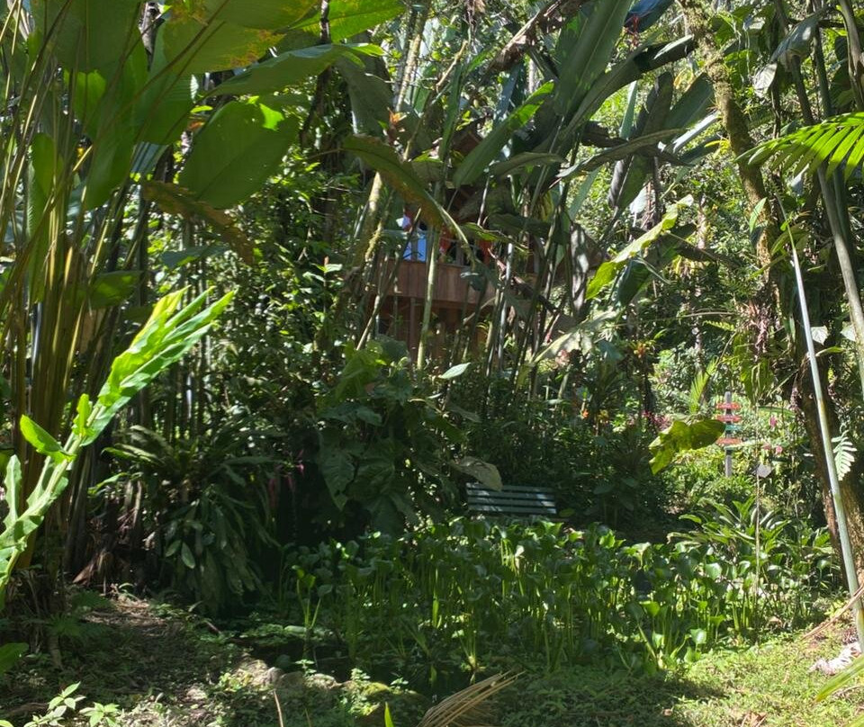 Casa Divina Eco Lodge主图