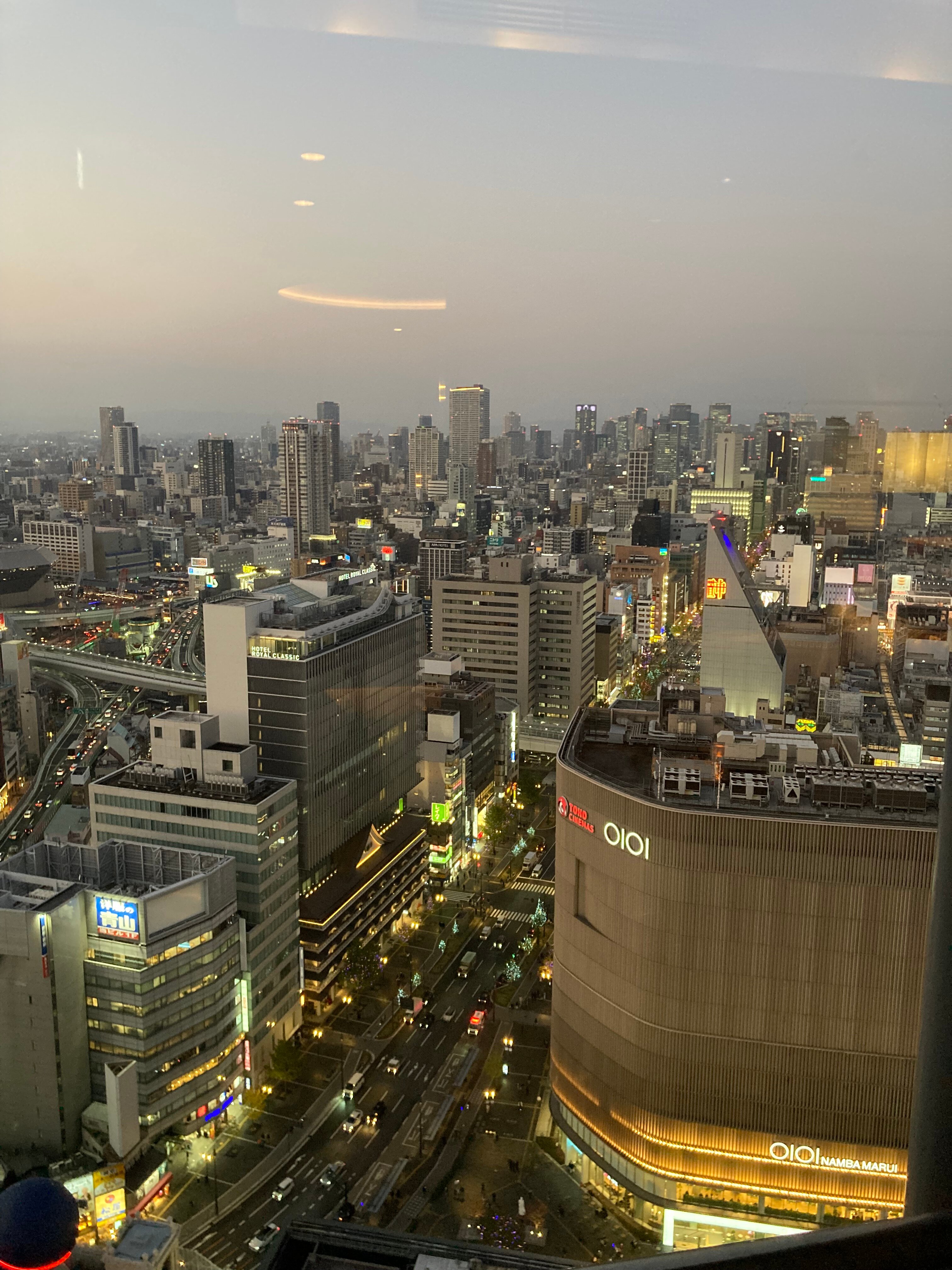 大阪瑞士南海酒店-酒店景观