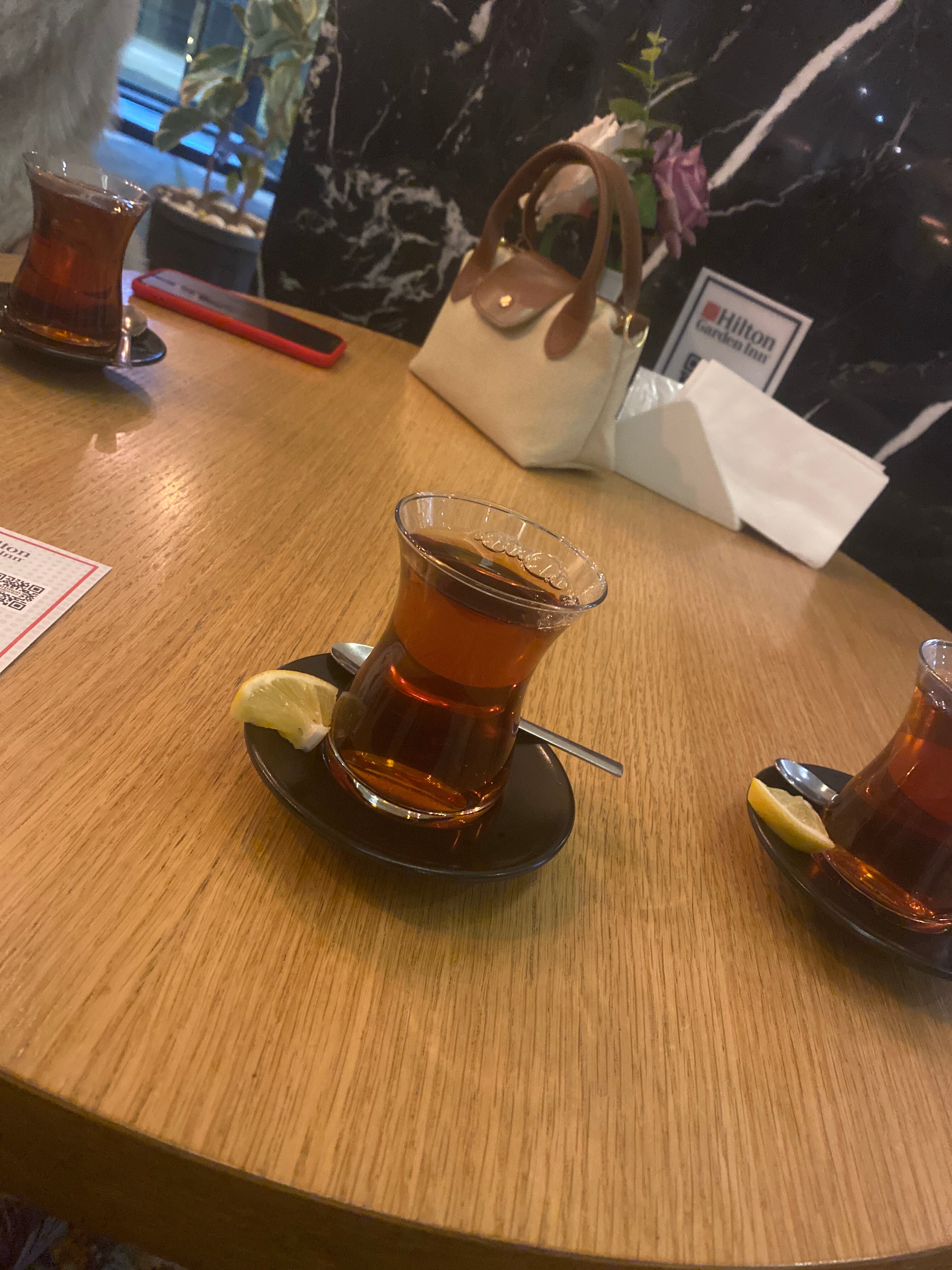 Hilton Garden Inn Erzurum-官方