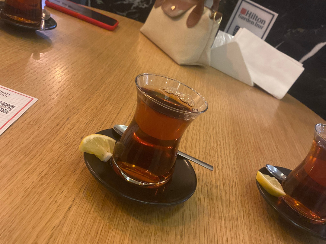 Hilton Garden Inn Erzurum主图