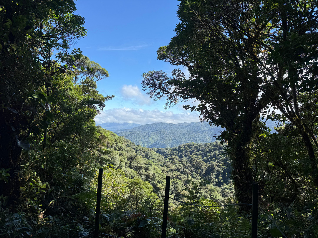 Reserva Bosque Nuboso Santa Elena-蒙特沃德必去景点