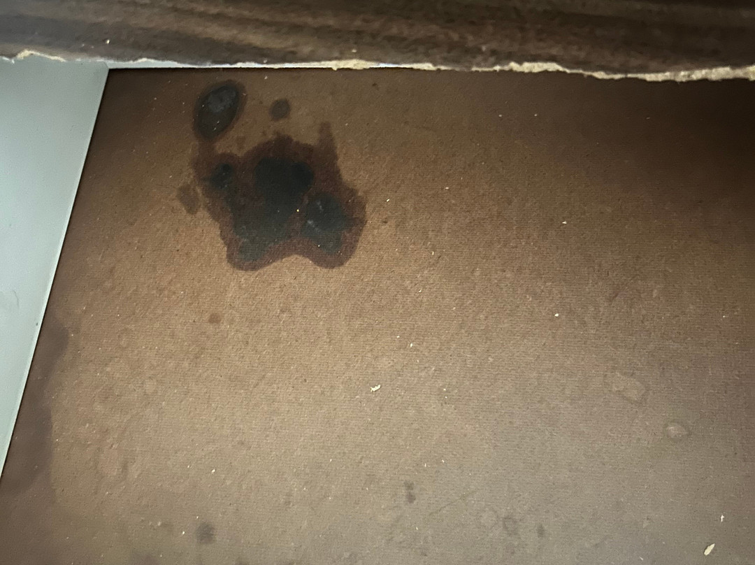 Central Motel Ipswich主图