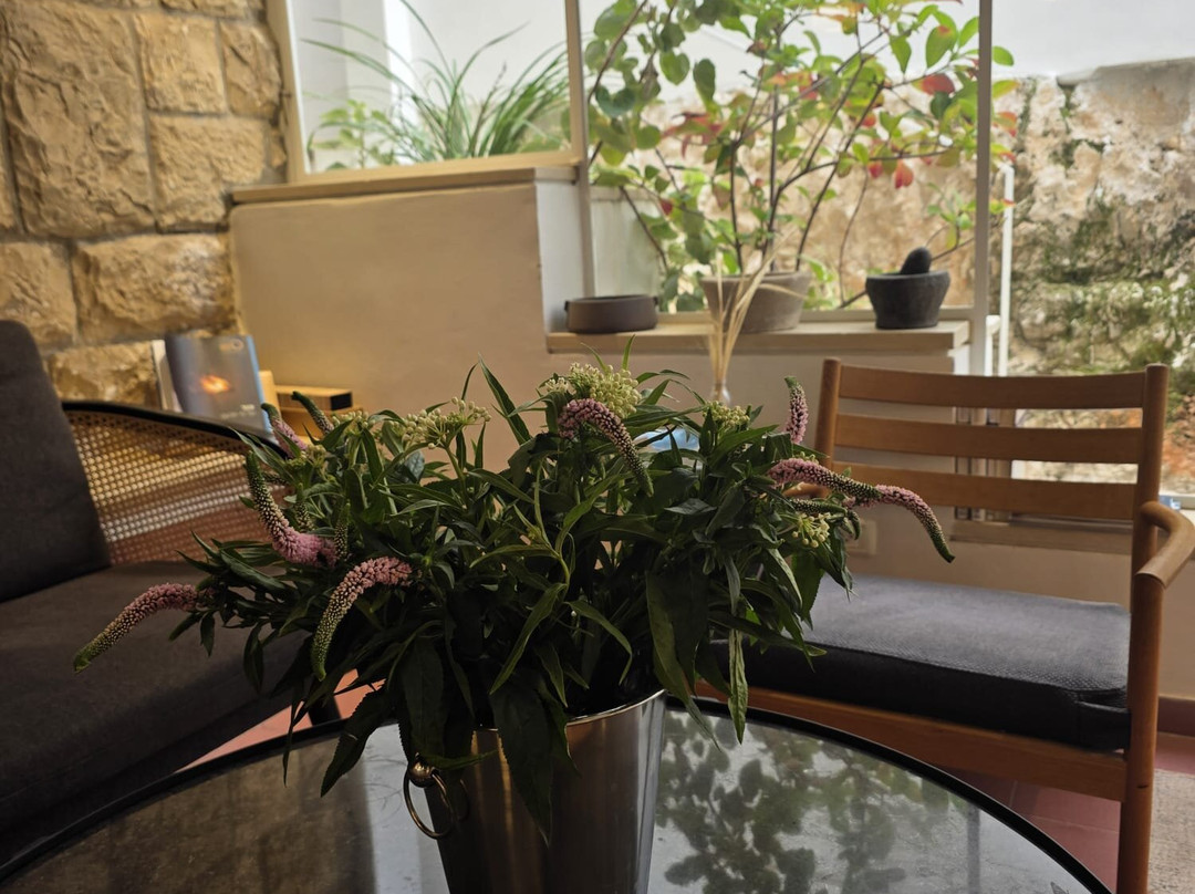 Khan Ein Karem Boutique Hotel主图