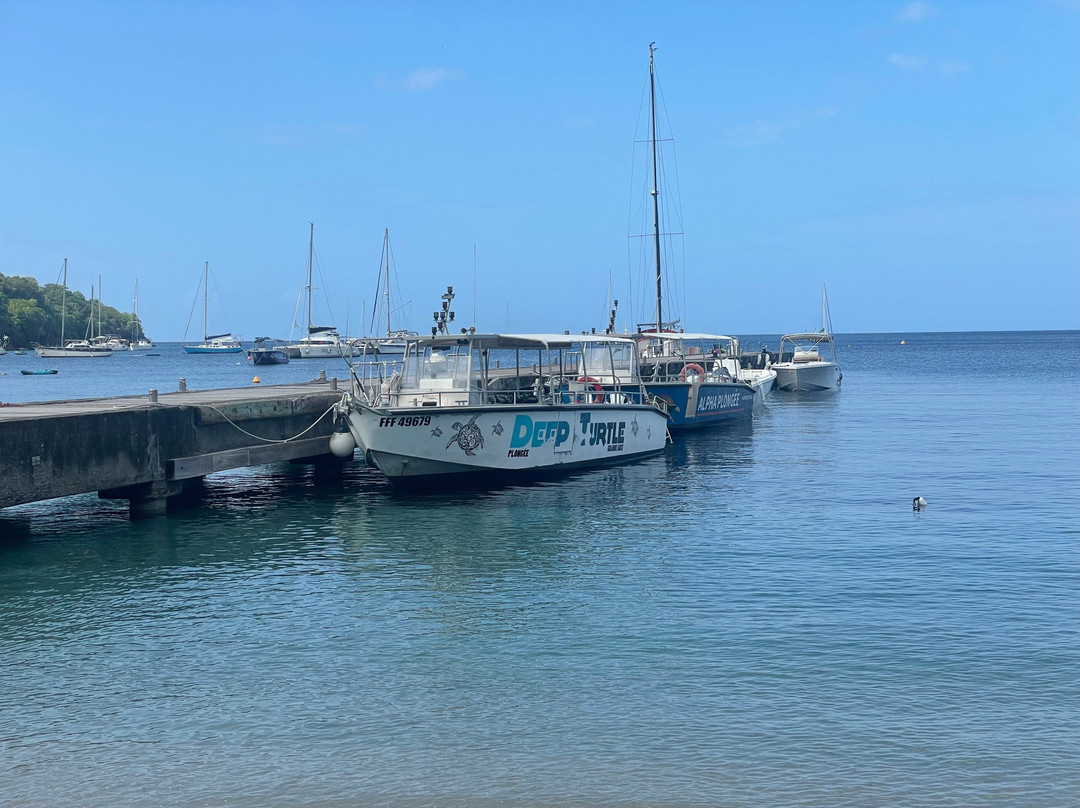 Deep Turtle Plongee-Les Anses d'Arlet必去景点