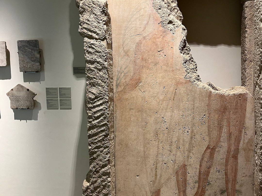 Museo Nazionale Archeologico-塔兰托必去景点