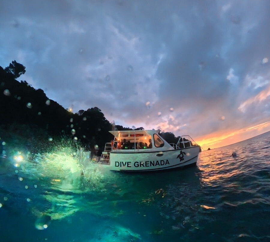 Dive Grenada-Grand Anse必去景点