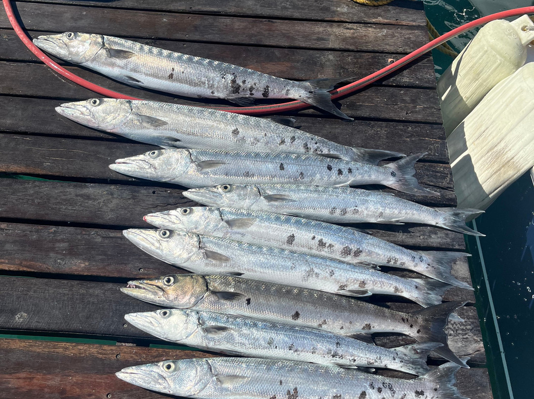 Punta Norte Diving-Punta Sam必去景点