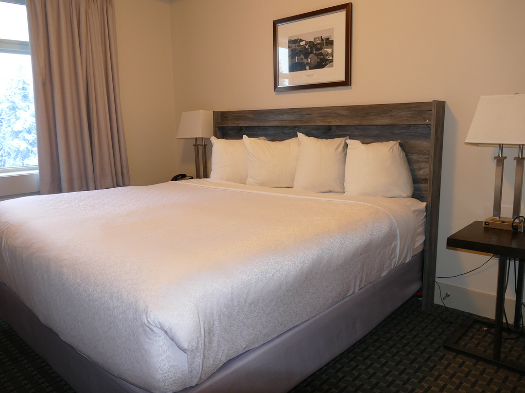 诺瓦耶洛奈夫城堡酒店主图