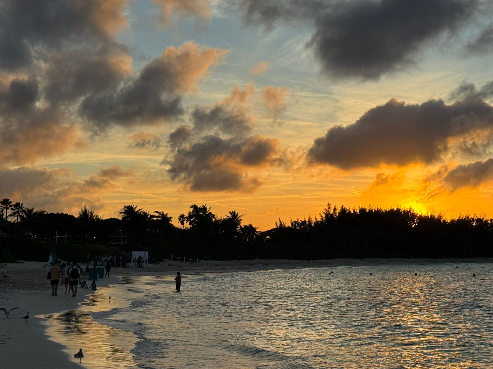 海湾亚特兰蒂斯精选酒店-官方