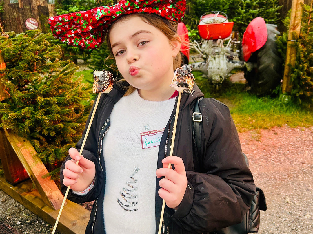 Pennywell Farm-Buckfastleigh必去景点