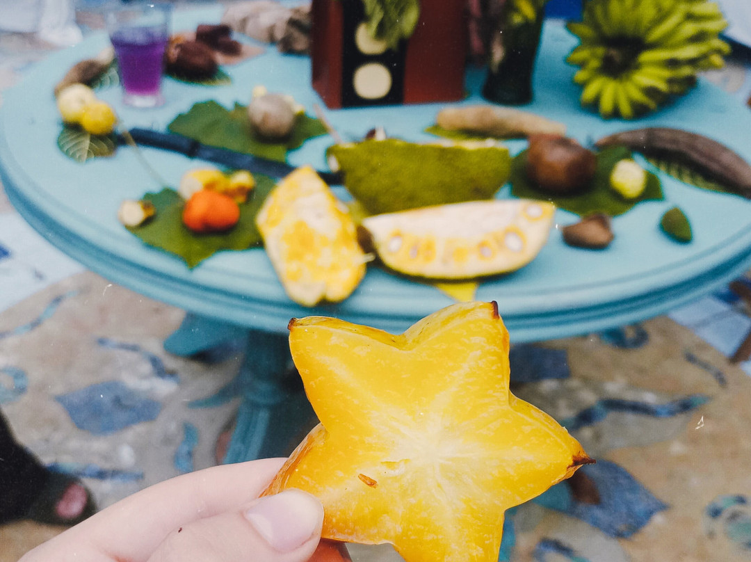 Finca Flora-Bocas del Toro必去景点