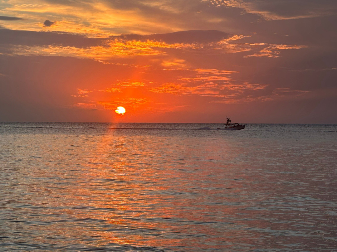 Dive  Palancar-考祖梅必去景点