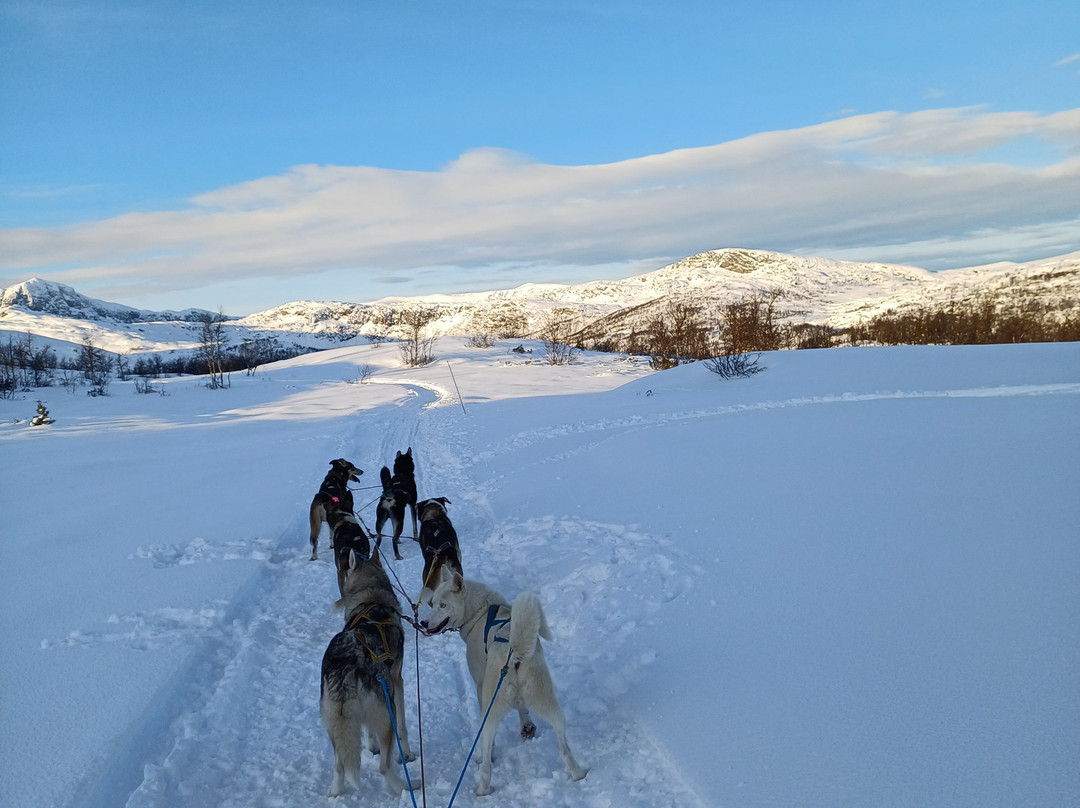 Beito Husky Tours Day Tours-Beito必去景点