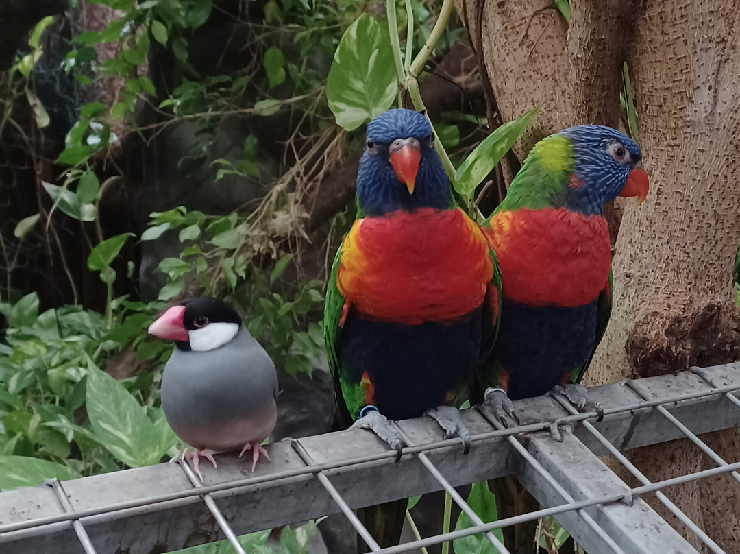 Krokodille Zoo-Eskilstrup必去景点