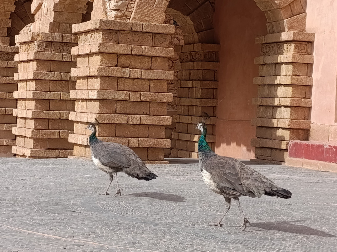 La Médina d'Agadir-阿加迪尔必去景点