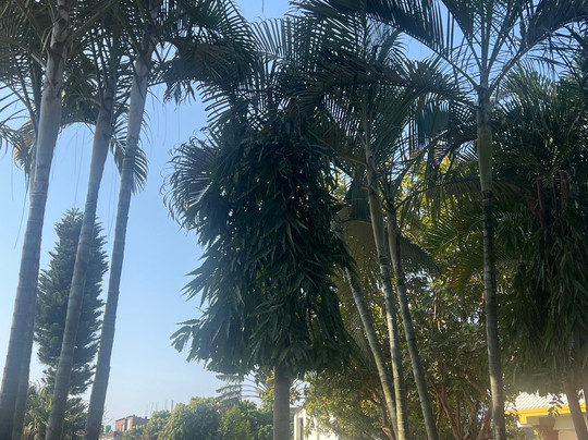 Siddhartha Resort, Surkhet主图