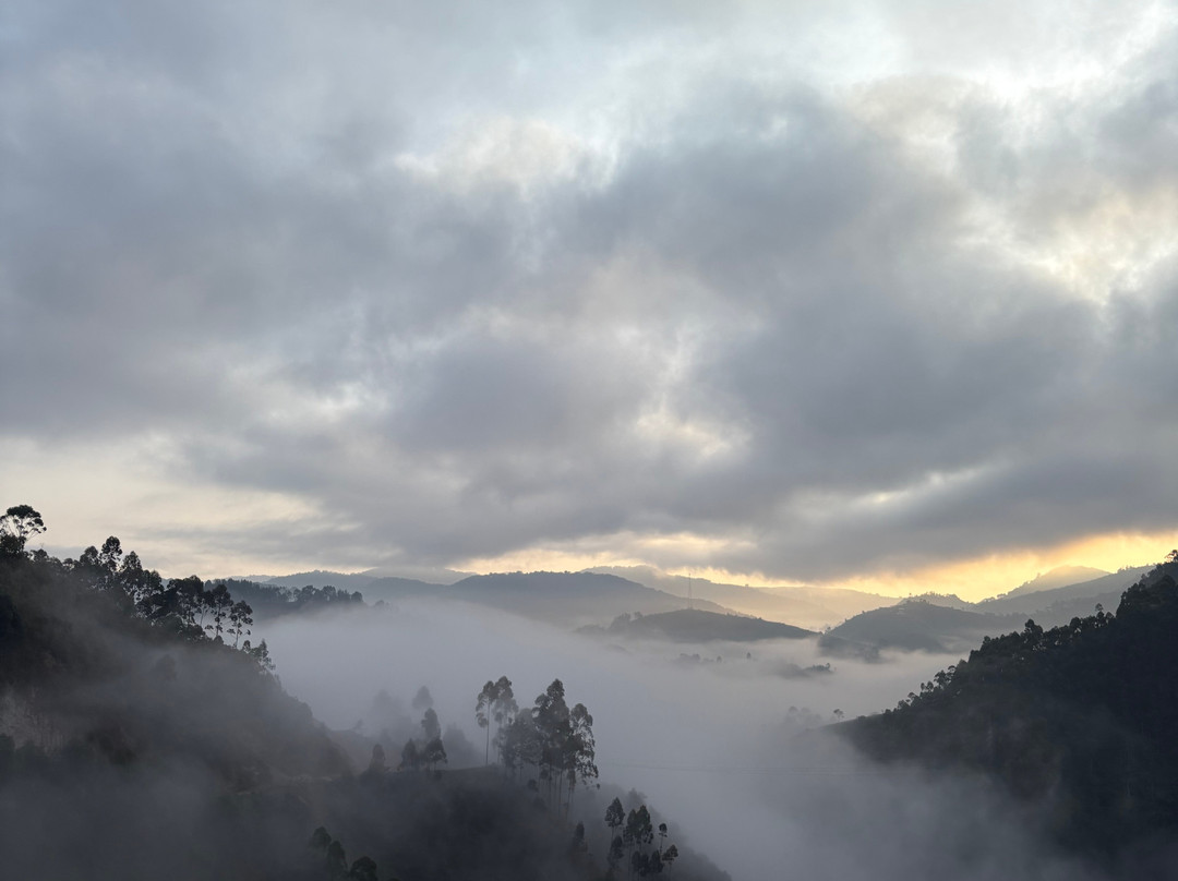 Gorilla Safari Consultants-坎帕拉必去景点