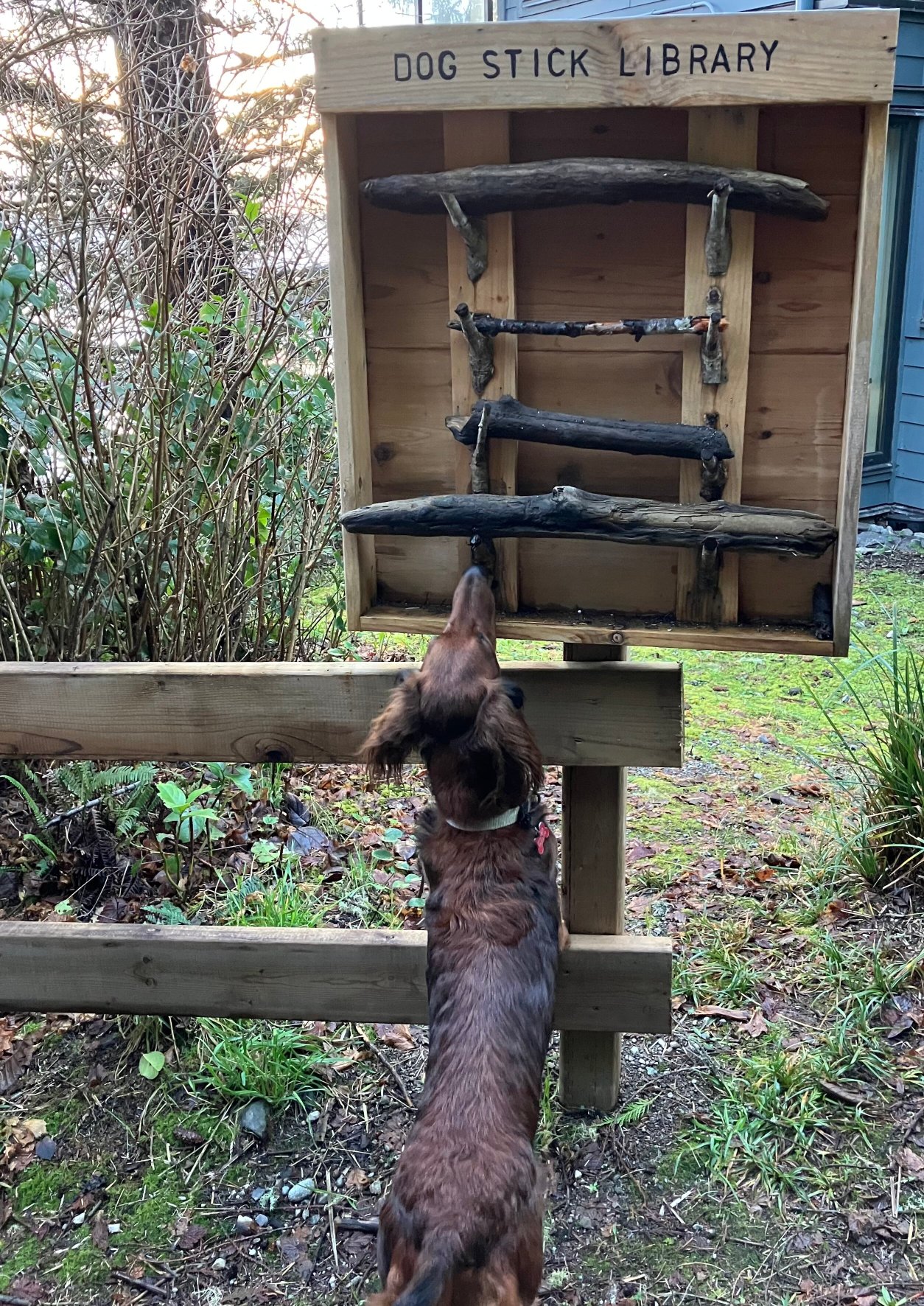 Black Rock Oceanfront Resort-官方